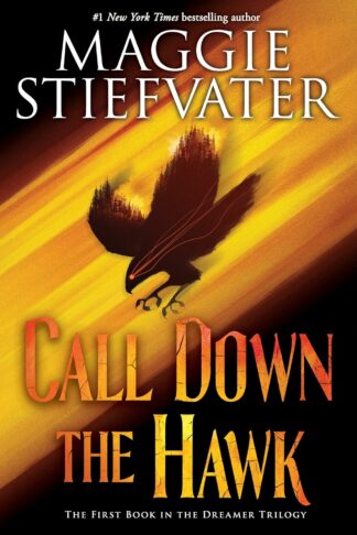 Call Down the Hawk (the Dreamer Trilogy, Book 1): Volume 1 - Maggie Stiefvater